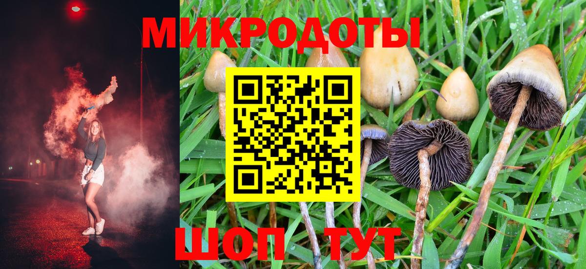 Галлюциногенные грибы мухоморы Боровичи