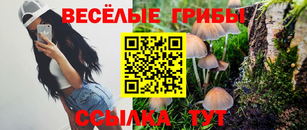 Псилоцибиновые грибы GOLDEN TEACHER  Галлюциногенные грибы Cubensis  Боровичи  Вход с VPN 